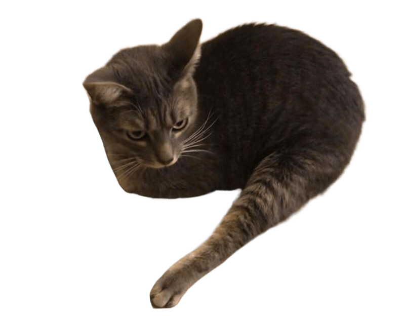 ,